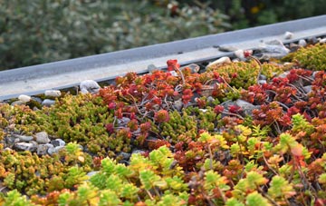 the cost of Rakeway green roof installation