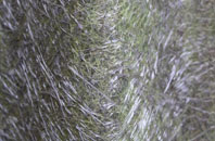 Rakeway fibreglass roof work